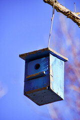 Small wooden hut for bird nests hanging from a tree.