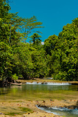 River with lush trees in the middle of the Kalimantan forest 