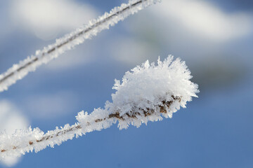 Ein kalter Wintermorgen mit Raureif