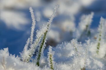 Ein kalter Wintermorgen mit Raureif