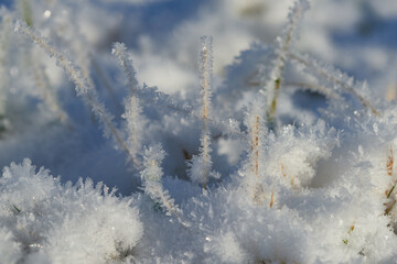 Ein kalter Wintermorgen mit Raureif