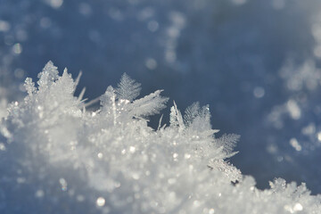 Ein kalter Wintermorgen mit Raureif