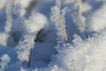 Ein kalter Wintermorgen mit Raureif