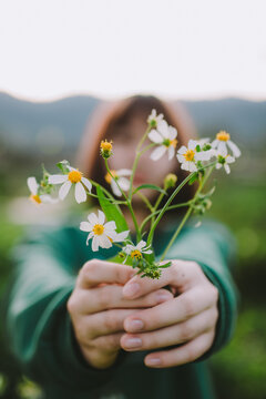 beautiful nature background images.