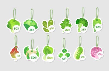 Green cabbage promo retail tag hanging on rope collection vector flat illustration