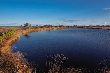 Wild lake deep in the taiga of Sakhalin Island