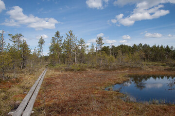 Knuthöjdsmossen, Hochmoor in Schweden