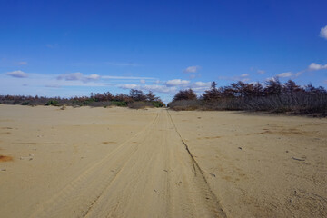 Dirt road in the northern part of Sakhalin Island