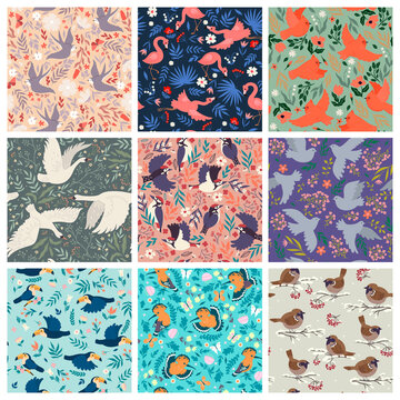 Set of patterns with various birds. Vector graphics.