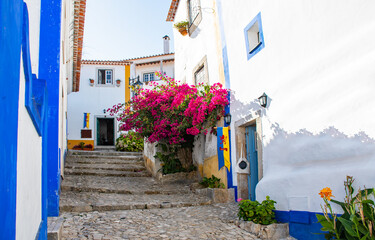 Óbidos is a beautiful town full of whitewashed houses covered with bougainvillea. The west coast of Portugal.