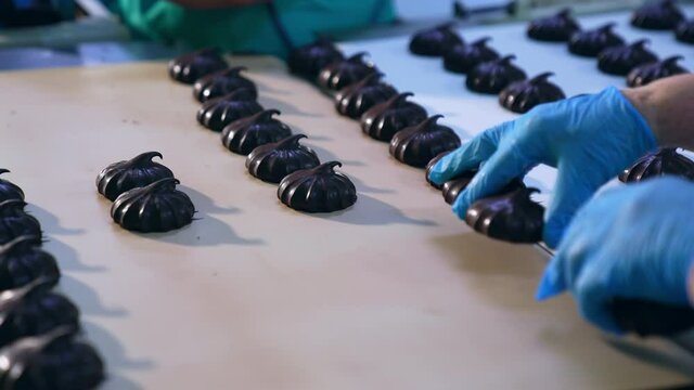 Hands in blue gloves take away marshmallows from the conveyor belt. Chocolate zephyr candies being packed into boxes. Close up.