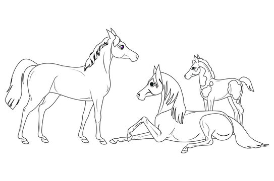A family of a horses and little foal, black and white vector illustrations cartoon style for a coloring book.