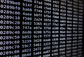 hex dump of network traffic