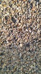 Sea Stones