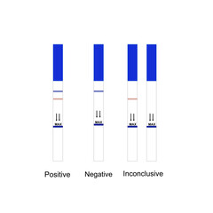 The result interpretation of Strip test that include Positive, Negative and inconclusive