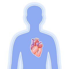 Illustration with heart internal organ. Human body anatomy. Health care and medical image.