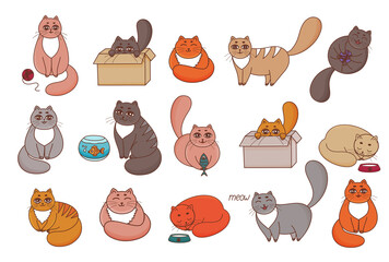 Set of cats. Cartoon cats collection. Funny kitten sleeping, playing, sitting on box, eating fish, relaxation. Different Adorable cats characters. Cute pets animal icons pack. Happy domestic cats. 