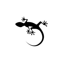 Fototapeta premium lizard on a branch