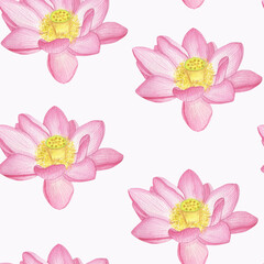 Seamless watercolor pattern on a white background. Blooming lotus. Delicate pink color with a yellow core. Symbol of purity and love