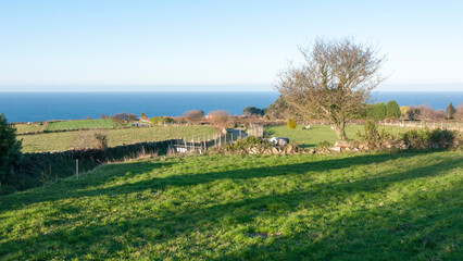 Pradera de hierba con linde de piedra junto al mar