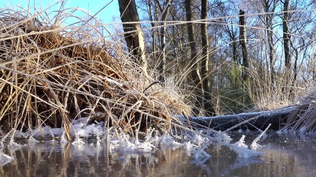 Winterlandschaft mit Eiskristalle am Gras im Winter bei Frost