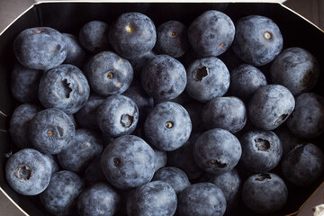 Close-up of a group of fresh blueberries from the supermarket. Wild fruits and food.