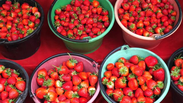 Sale of organic strawberries at fruit market. Buckets full of fresh, ripe, red strawberries at local market. Healthy, vegan eating and nutrition. Strawberry season