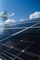 Solar panels on a farm