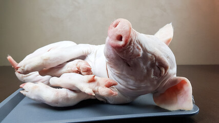 the carcass of a small dairy fresh piglet lies on the Protvin. preparation of an exquisite festive pork dish