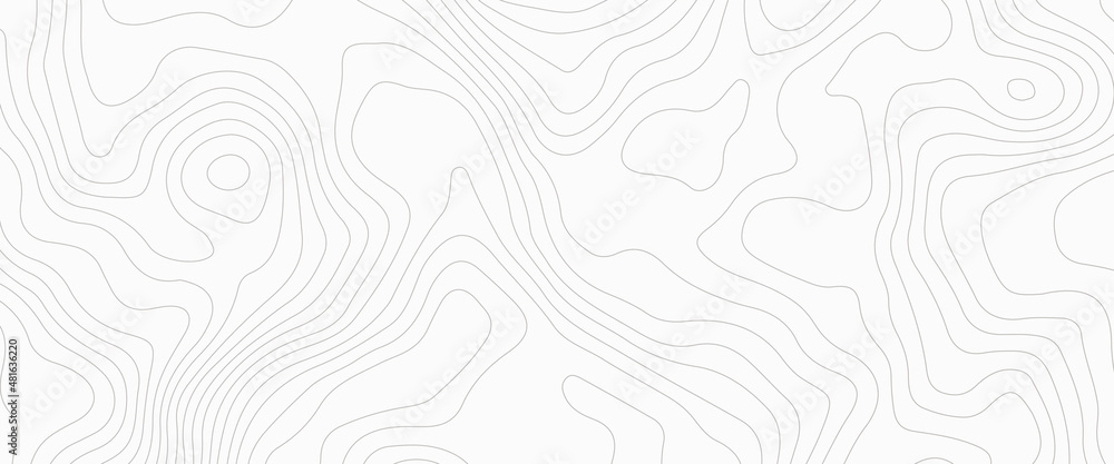 Poster topographic map lines, contour background, vector contour topographic map background. topography and