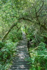 Reconnexion avec la nature