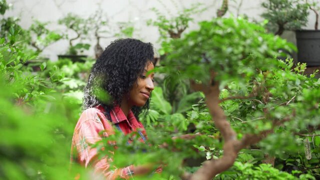 Black woman spraying water and taking care of bonsai trees in garden
