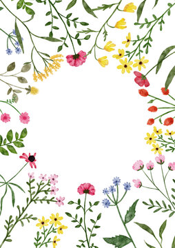 Watercolor wildflower border. Botanical spring summer flowers frame. Garden floral greenery wild flowers for wedding invitation. Nature wild herbs design card template illustrations