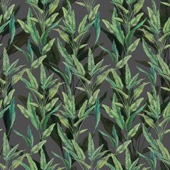 Watercolor tropical leaves seamless pattern. Hand painted exotic banana green branches on dark background. Botanical wallpaper design. Summer plants texture