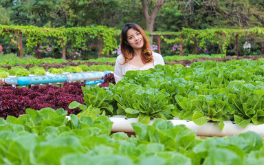 Asian woman in organic vegetable garden 