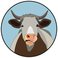 Portrait of a Cow