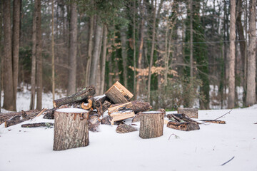 Snow covered pile of firewood logs