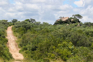 Fototapeta na wymiar Kruger National Park scenery and landscape