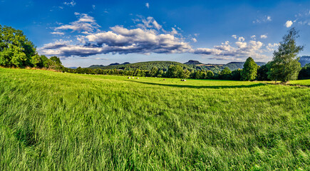 Grass fields in Germany with mountains in the background