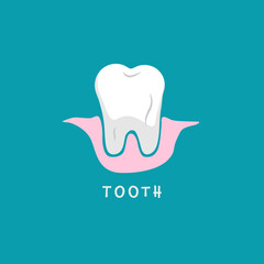 Flat design tooth on blue background - vector