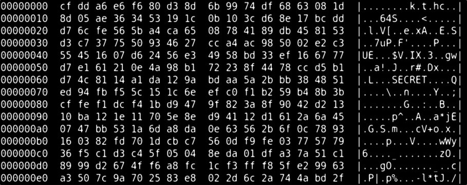 Hex dump of a secret