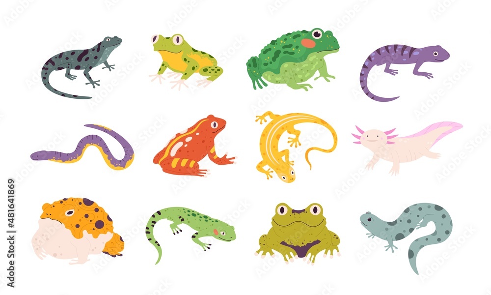 Wall mural cartoon exotic amphibian and reptiles, lizards, newts, toads and frogs. tropical animals, gecko, tri - Wall murals