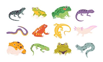 Cartoon exotic amphibian and reptiles, lizards, newts, toads and frogs. Tropical animals, gecko, triton, salamander and axolotl vector set - obrazy, fototapety, plakaty