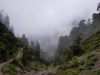 fog wall in the mountains