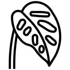 monstera adansonii outline icon