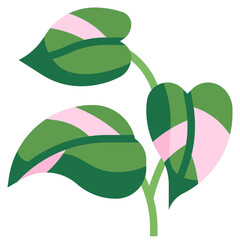 PHILODENDRON PINK PRINCESS flat icon © narathip