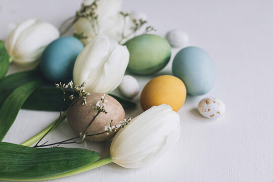 Happy Easter! Stylish Easter eggs and tulips on rustic white wooden background. Natural dyed colorful eggs and spring flowers composition, tender atmospheric image. Greeting card