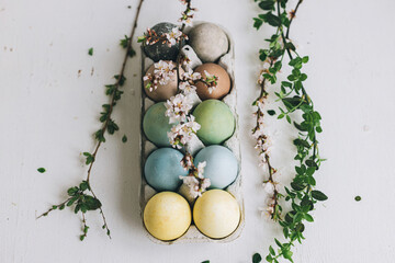 Fototapeta na wymiar Happy Easter! Stylish Easter eggs and cherry blossoms on rustic white wooden background. Natural dyed colorful pastel eggs in tray and spring branches on rustic table. Countryside still life