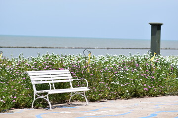 white chairs near the beach