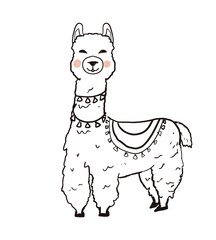 Llama cartoon alpaca. Llama animal illustration. Cute funny hand drawn art. Designs for cards, stickers, fabric textiles, t-shirts. Kids, baby modern fashion style